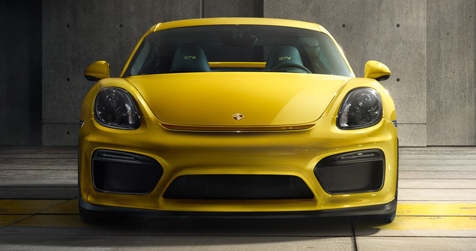 Porsche Cayman GT4 (III/981C) 3.8 (385) - Фото 2