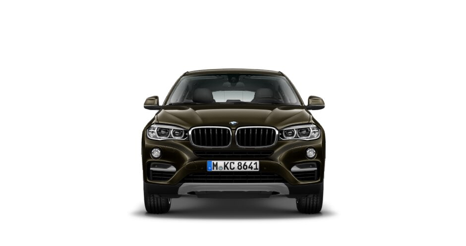 BMW X6 (II/F16) xDrive30d (258) - Фото 2